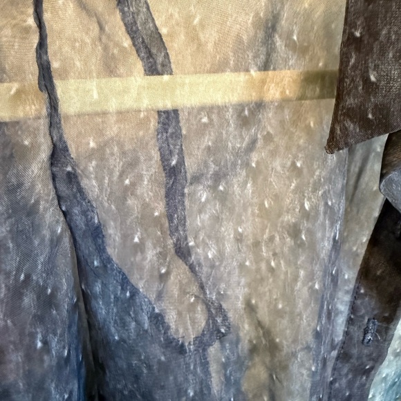 Sheer button down top - Picture 2 of 2